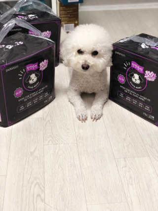 태풍님님이 올린 리뷰 사진 4