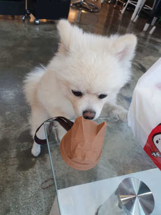 찌윤님이 올린 리뷰 사진 1