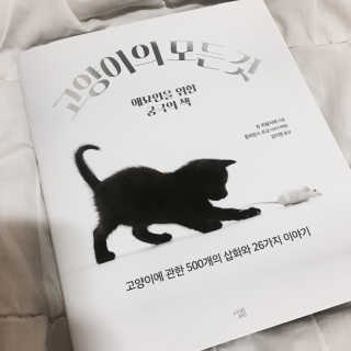 록이님이 올린 리뷰 사진 1