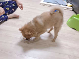 베베루님이 올린 리뷰 사진 4