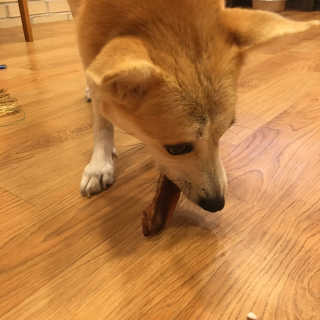 진하님이 올린 리뷰 사진 2