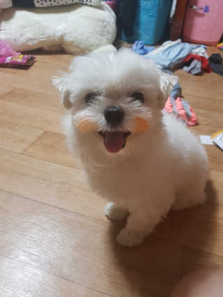뭉치누나님이 올린 리뷰 사진 3
