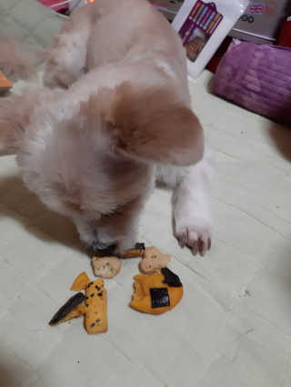 moomoon님이 올린 리뷰 사진 2
