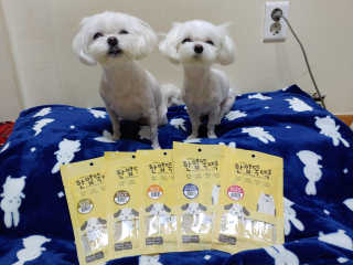 [펫토리아]짜먹는 한입뚝딱 강아지.고양이 마약간식 — 5점을 준 리뷰어가 2019년 8월 올린 사용 사진