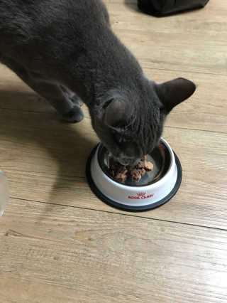썽츄님이 올린 리뷰 사진 1