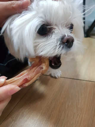 [펫토리아] 한입뚝딱 강아지 수제간식 BEST 5종 — 4점을 준 리뷰어가 2019년 2월 올린 사용 사진
