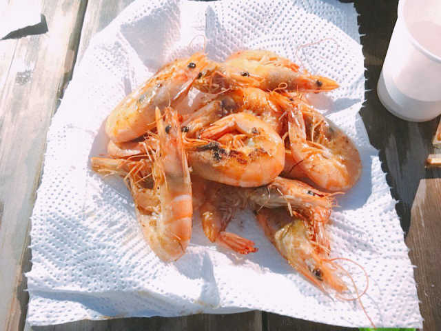니슬 에코 베리어 논 케미컬 선크림 리뷰 사진