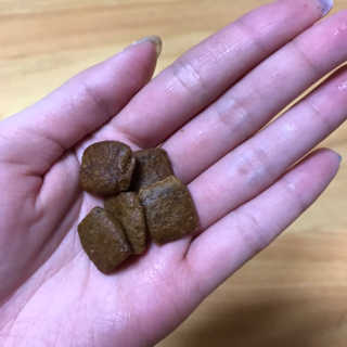 지우닝님이 올린 리뷰 사진 2