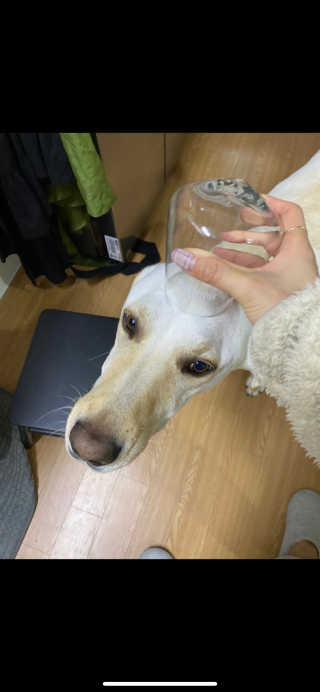 persona님이 올린 리뷰 사진 3