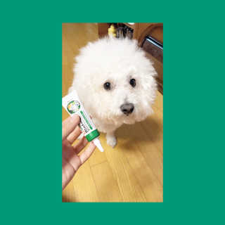 쀼니지브님이 올린 리뷰 사진 3