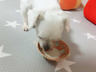 인애님이 올린 리뷰 사진 2