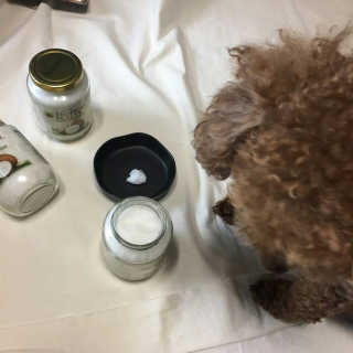 kwon님이 올린 리뷰 사진 2