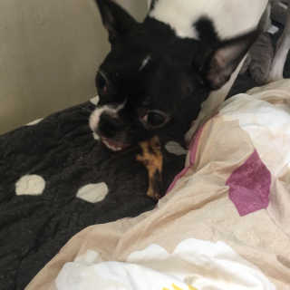 Ghhryh님이 올린 리뷰 사진 3