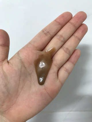 다슈코리아 다슈 단백질 한방 두피 골드 샴푸 500ml +샴푸브러쉬 — 5점을 준 리뷰어가 2019년 10월 올린 사용 사진