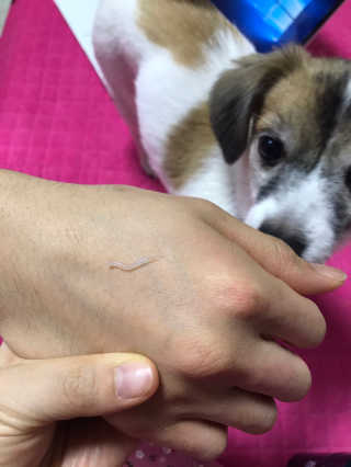 김미진님이 올린 리뷰 사진 2