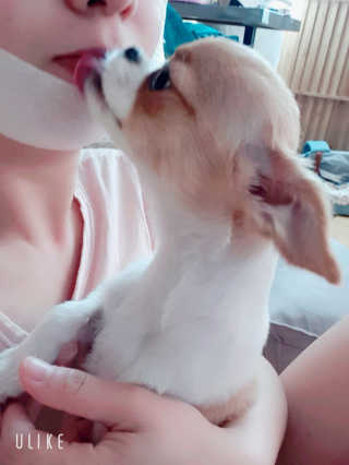 꼬몽쓰님이 올린 리뷰 사진 1