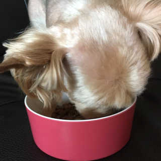 보보짱님이 올린 리뷰 사진 3