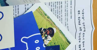 [어글어글] 반려견 친환경 간식 9종 세트 — 5점을 준 리뷰어가 2019년 8월 올린 사용 사진