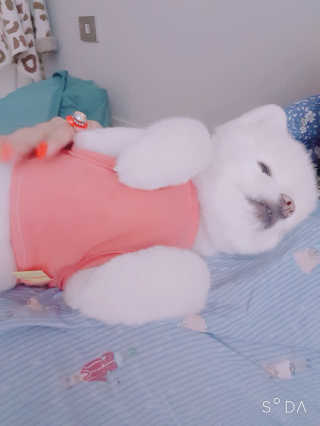 블링윰님이 올린 리뷰 사진 2