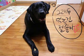 noname님이 올린 리뷰 사진 4