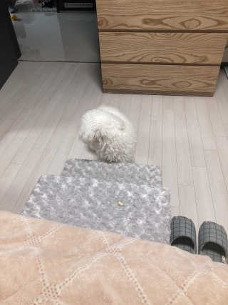 스페이스정님이 올린 리뷰 사진 2