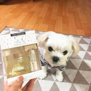 오!마이실리 오마이실리 반려동물 디퓨저 — 5점을 준 리뷰어가 2017년 11월 올린 사용 사진