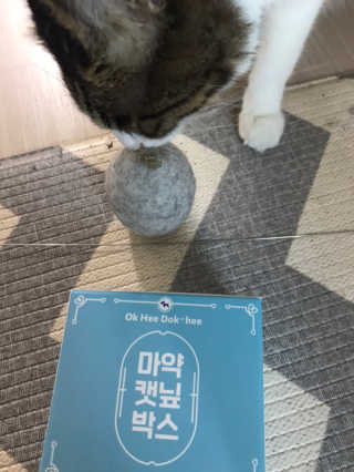 글라라5205님이 올린 리뷰 사진 2