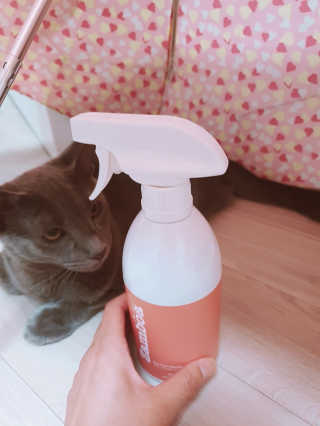 효성님이 올린 리뷰 사진 1