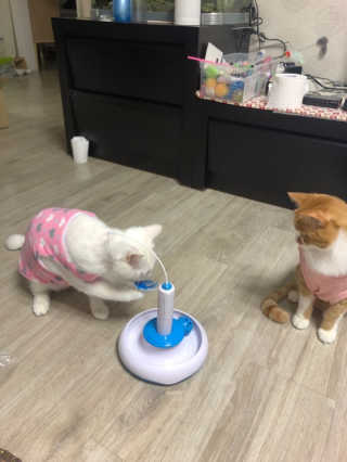 ㅎㅈㅎㅈ님이 올린 리뷰 사진 2