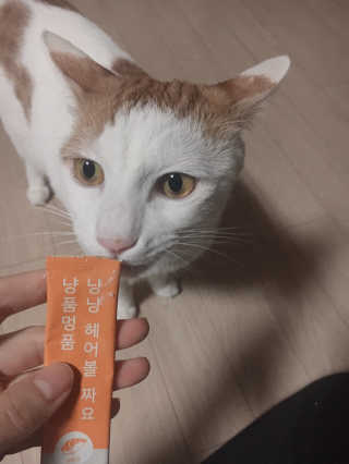 yooon❤️님이 올린 리뷰 사진 1