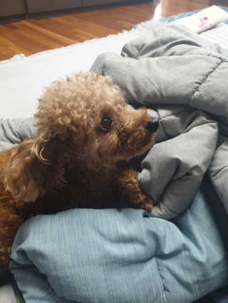 야딩님이 올린 리뷰 사진 4