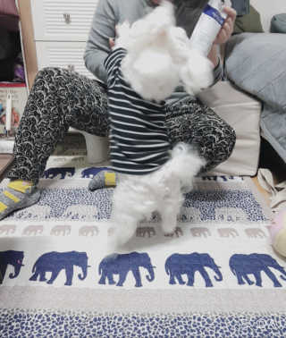 두부님이 올린 리뷰 사진 1