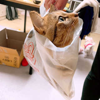 언니꺅꺅님이 올린 리뷰 사진 3