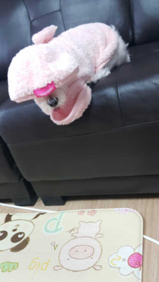 쭈리미~~님이 올린 리뷰 사진 4