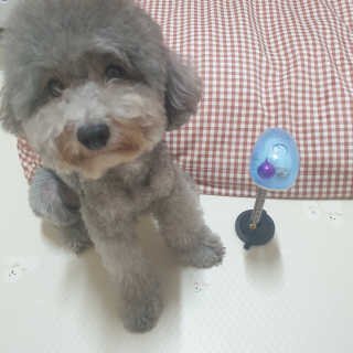 4또러버님이 올린 리뷰 사진 3