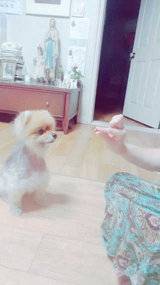 고동추님이 올린 리뷰 사진 4