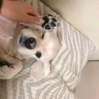 쑝쑝님이 올린 리뷰 사진 3