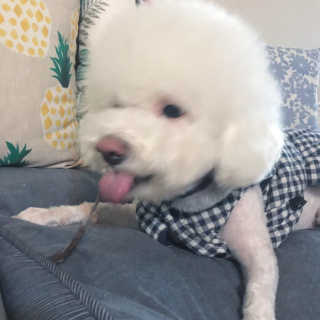 슈슈네님이 올린 리뷰 사진 4
