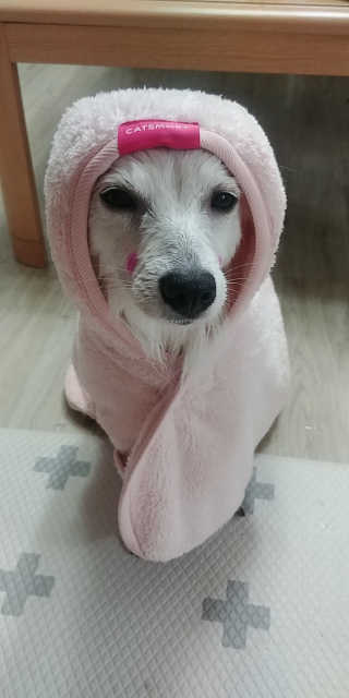 EunJeongKong님이 올린 리뷰 사진 4