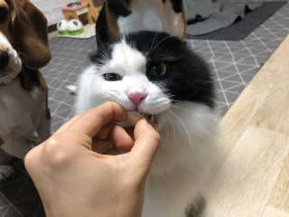 cobemom님이 올린 리뷰 사진 3