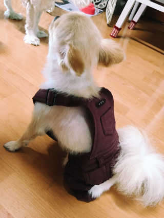 강봉식님이 올린 리뷰 사진 2