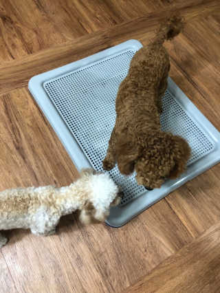 밍굴이님이 올린 리뷰 사진 1