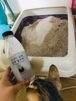 이아님이 올린 리뷰 사진 1