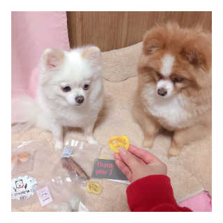 영블리님이 올린 리뷰 사진 1