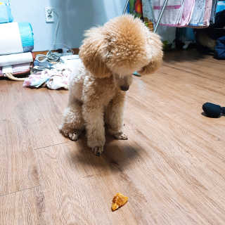 장예슬님이 올린 리뷰 사진 3