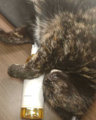 Liandra님이 올린 리뷰 사진 2