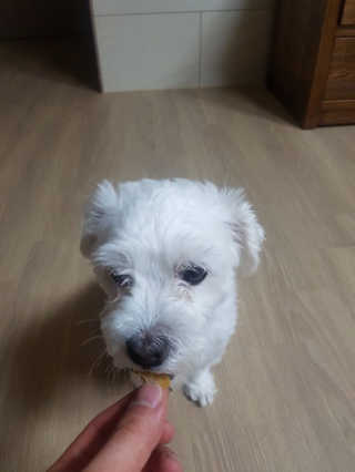 띠로링님이 올린 리뷰 사진 2