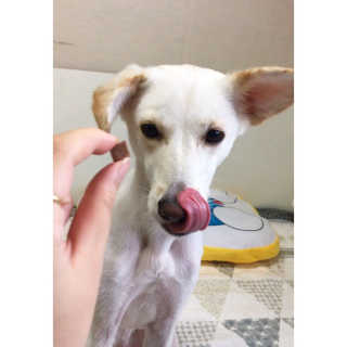 화여밍님이 올린 리뷰 사진 3