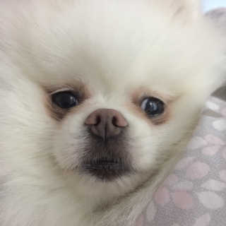 유림님이 올린 리뷰 사진 1