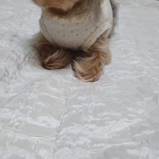 솜희님이 올린 리뷰 사진 3